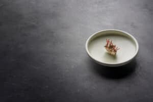 Bowl Jade, serviesgoed van porselein, Chic 781403