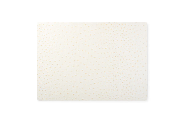 757153#W22-Placemat 43x30cm stippen beige Layer