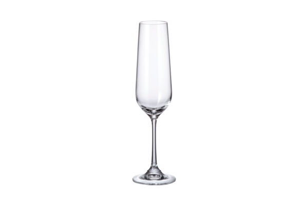 Strix champagneglas 200ml