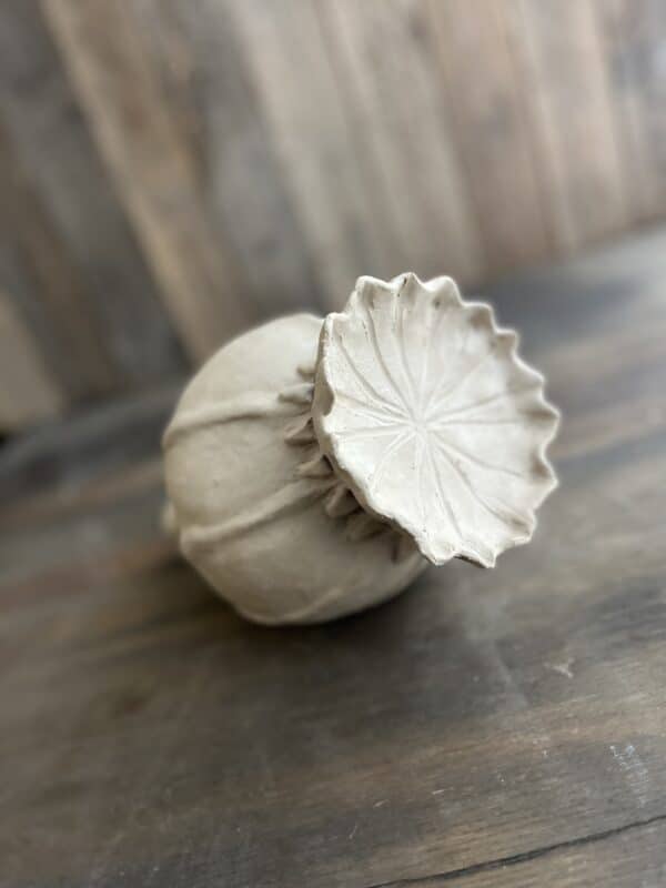 Workshop zaaddozen maken van klei, Poppy deed, lotus pod, keramiek