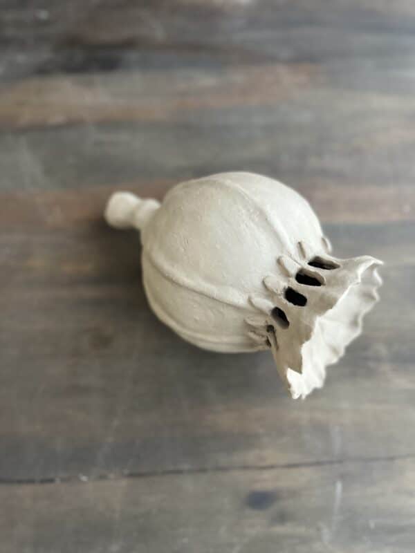 Workshop zaaddozen maken van klei, Poppy deed, lotus pod, keramiek