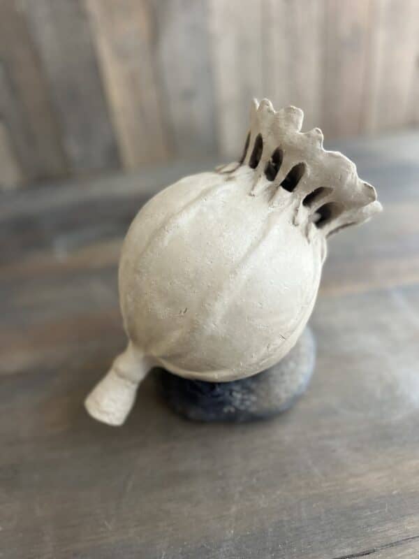 Workshop zaaddozen maken van klei, Poppy deed, lotus pod, keramiek