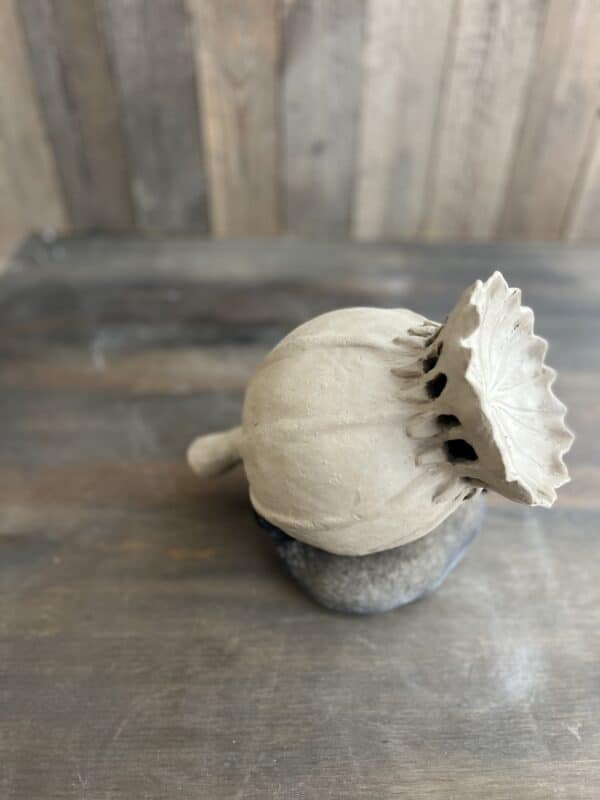 Workshop Zaaddozen 28-5-2025, lotus pods, poppy seed, keramiek workshop tuinornamenten maken