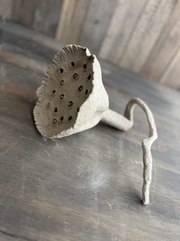 Workshop zaaddozen maken van klei, Poppy deed, lotus pod, keramiek