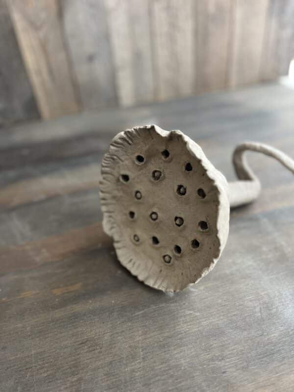 Workshop Zaaddozen 28-5-2025, lotus pods, poppy seed, keramiek workshop tuinornamenten maken
