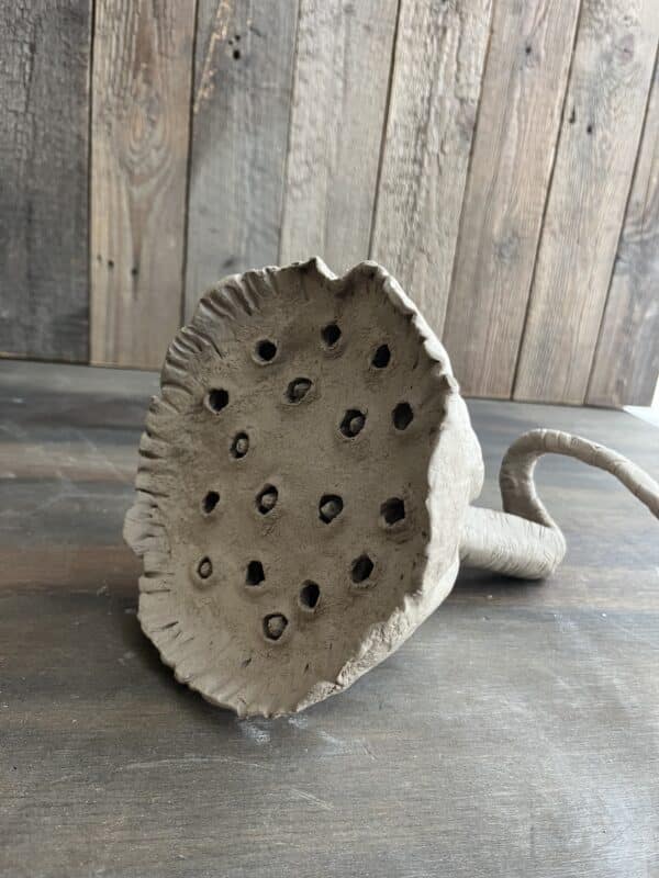 Workshop zaaddozen maken van klei, Poppy deed, lotus pod, keramiek
