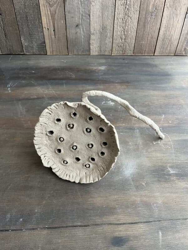 Workshop Zaaddozen 28-5-2025, lotus pods, poppy seed, keramiek workshop tuinornamenten maken