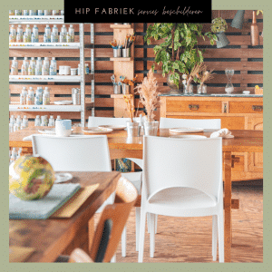 hip fabriek servies beschilderen