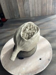workshop zaaddozen maken van keramiek