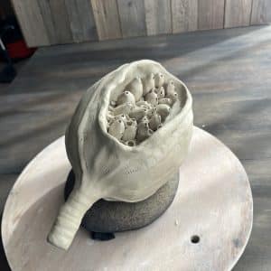 workshop zaaddozen maken van keramiek
